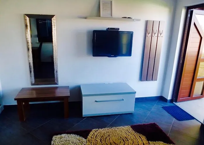 Danex Aida 우마그