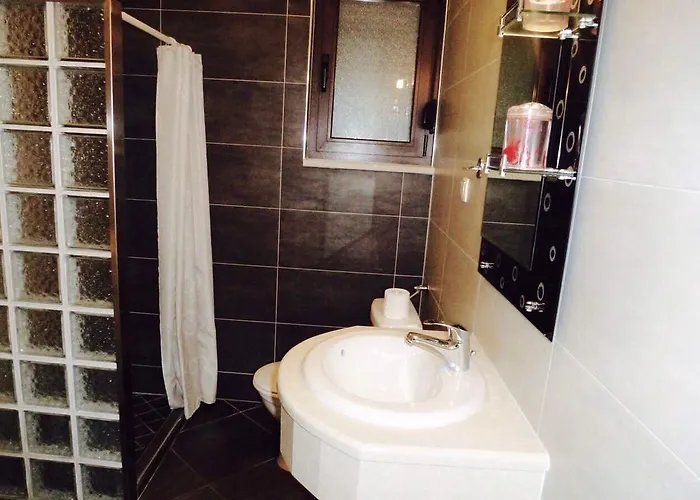 Danex Aida 우마그