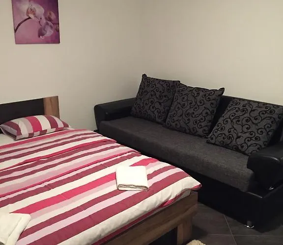 Danex Aida 우마그