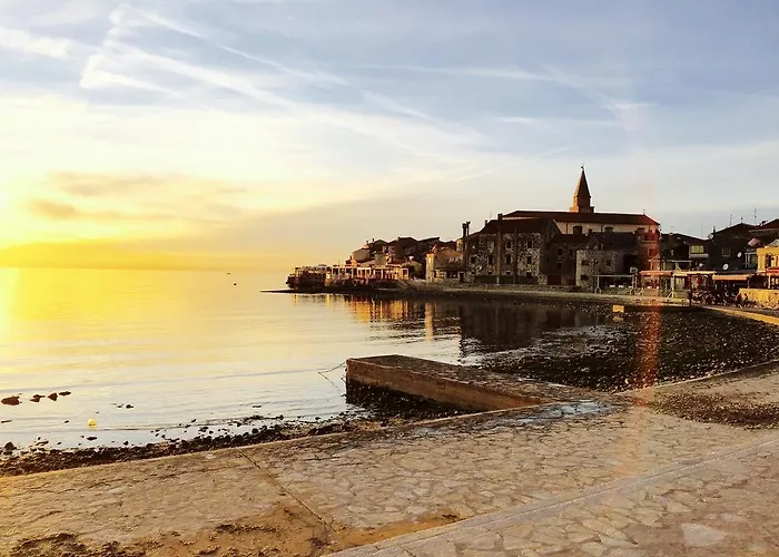 Danex Aida 아파트 *